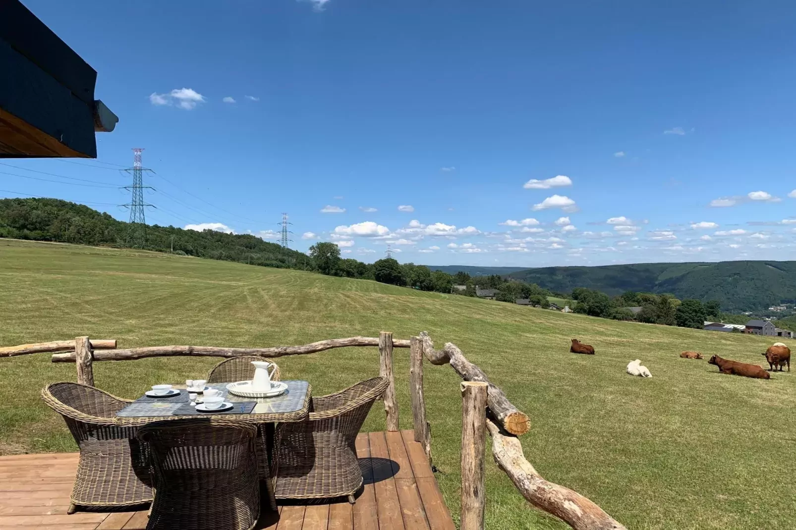 Chalet Bulle-Uitzicht zomer