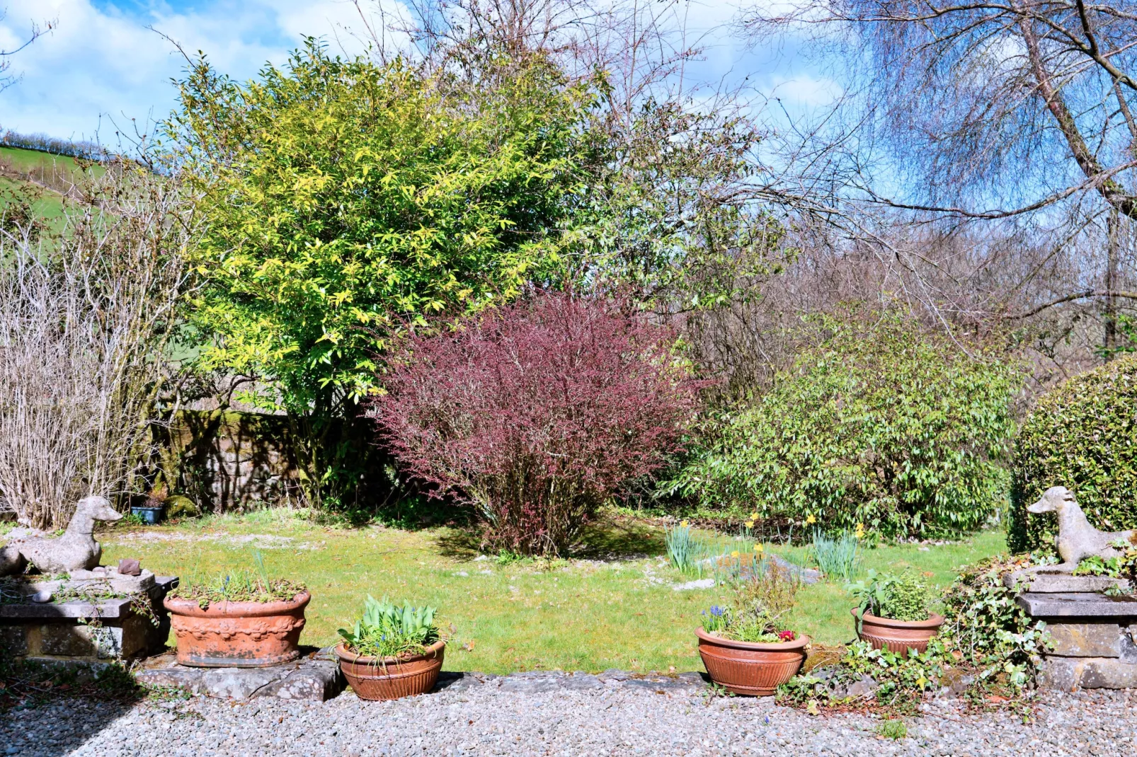 Cwmfron House-Tuinen zomer