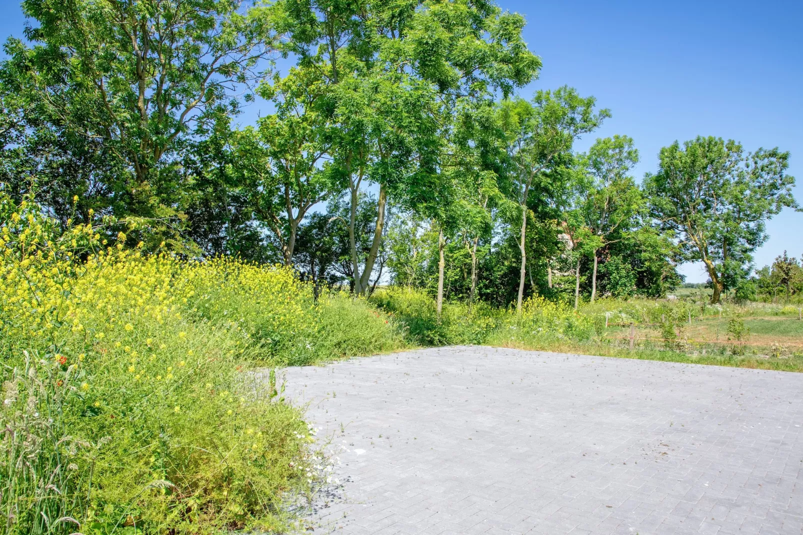 Familievilla Nieuw-Zeeland-Tuinen zomer