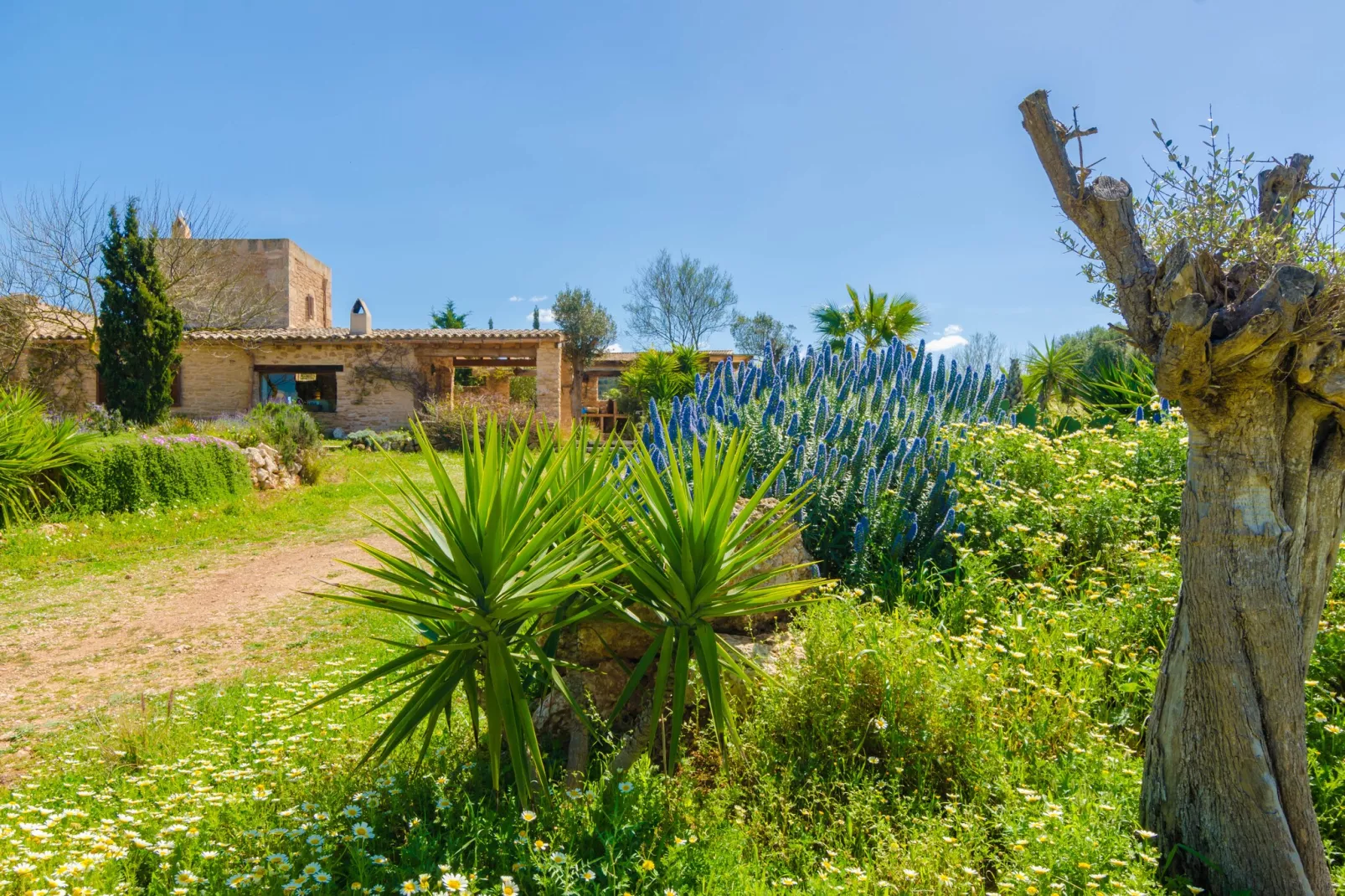 Villa Es MolÍ Des Trenc-Image-tags.