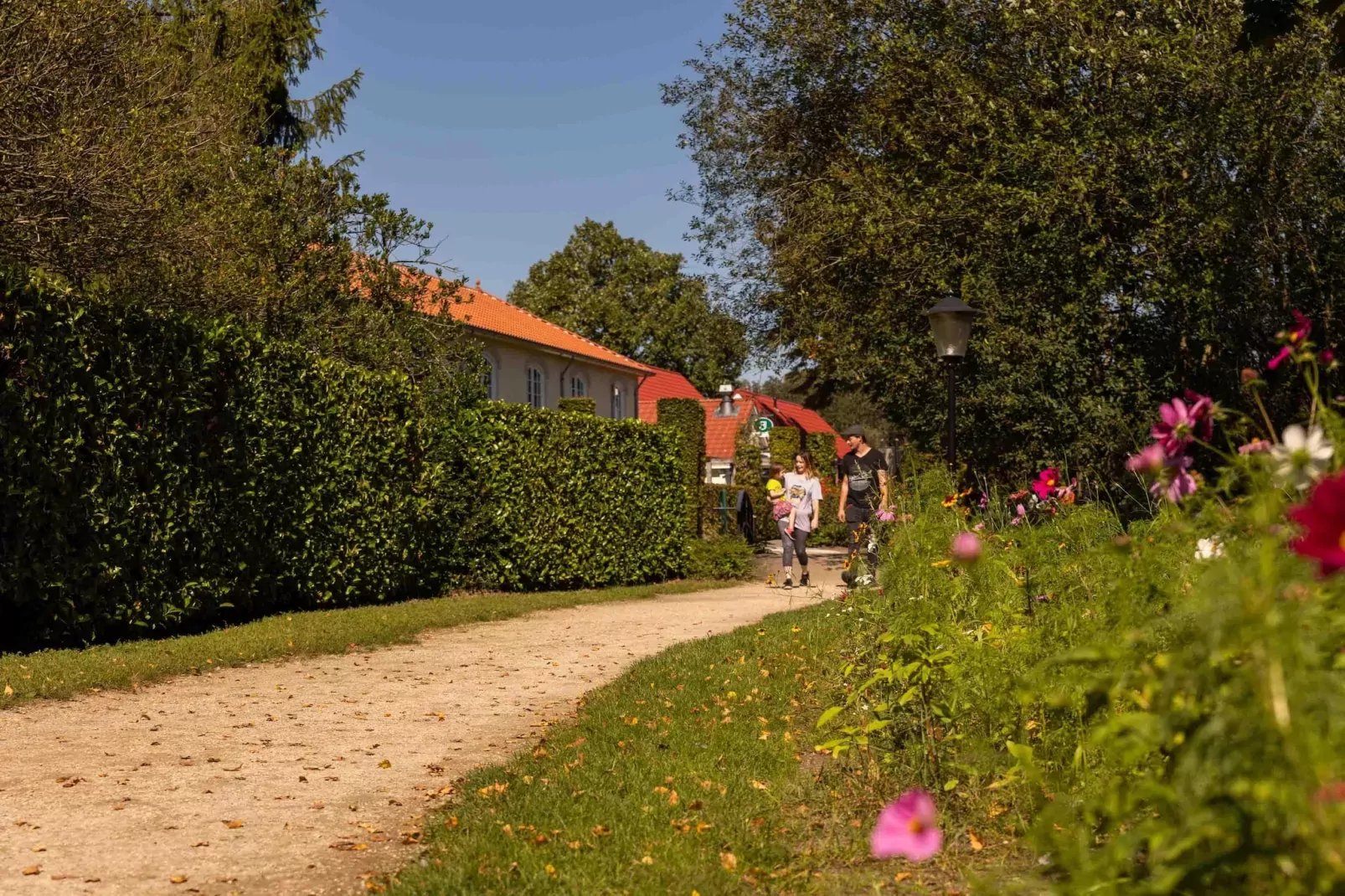 Parc Duc de Brabant 7-Gebieden zomer 1km