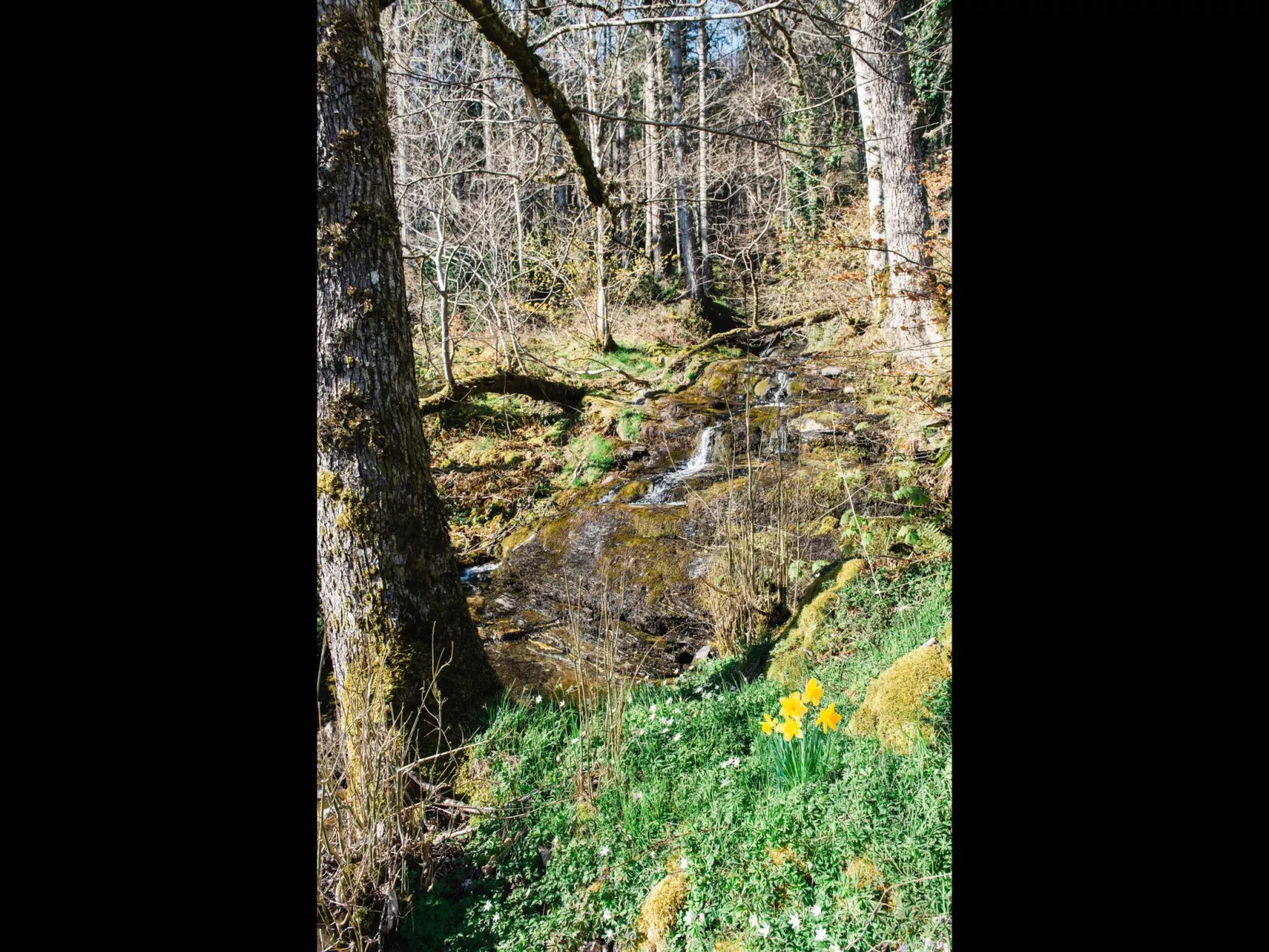 Farmburn Bothy-Buiten