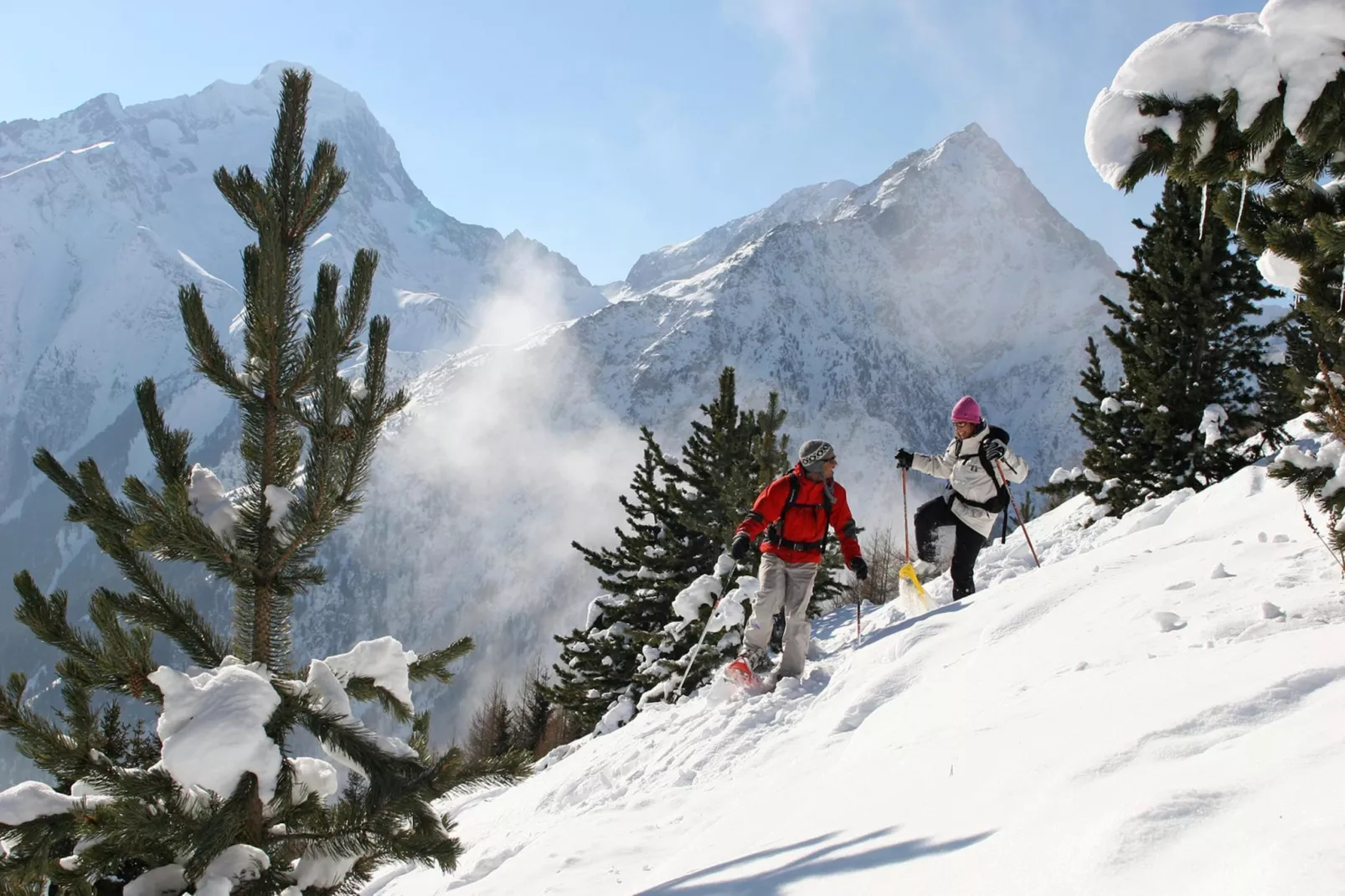 LES DEUX ALPES_S8-Gebied winter 5km