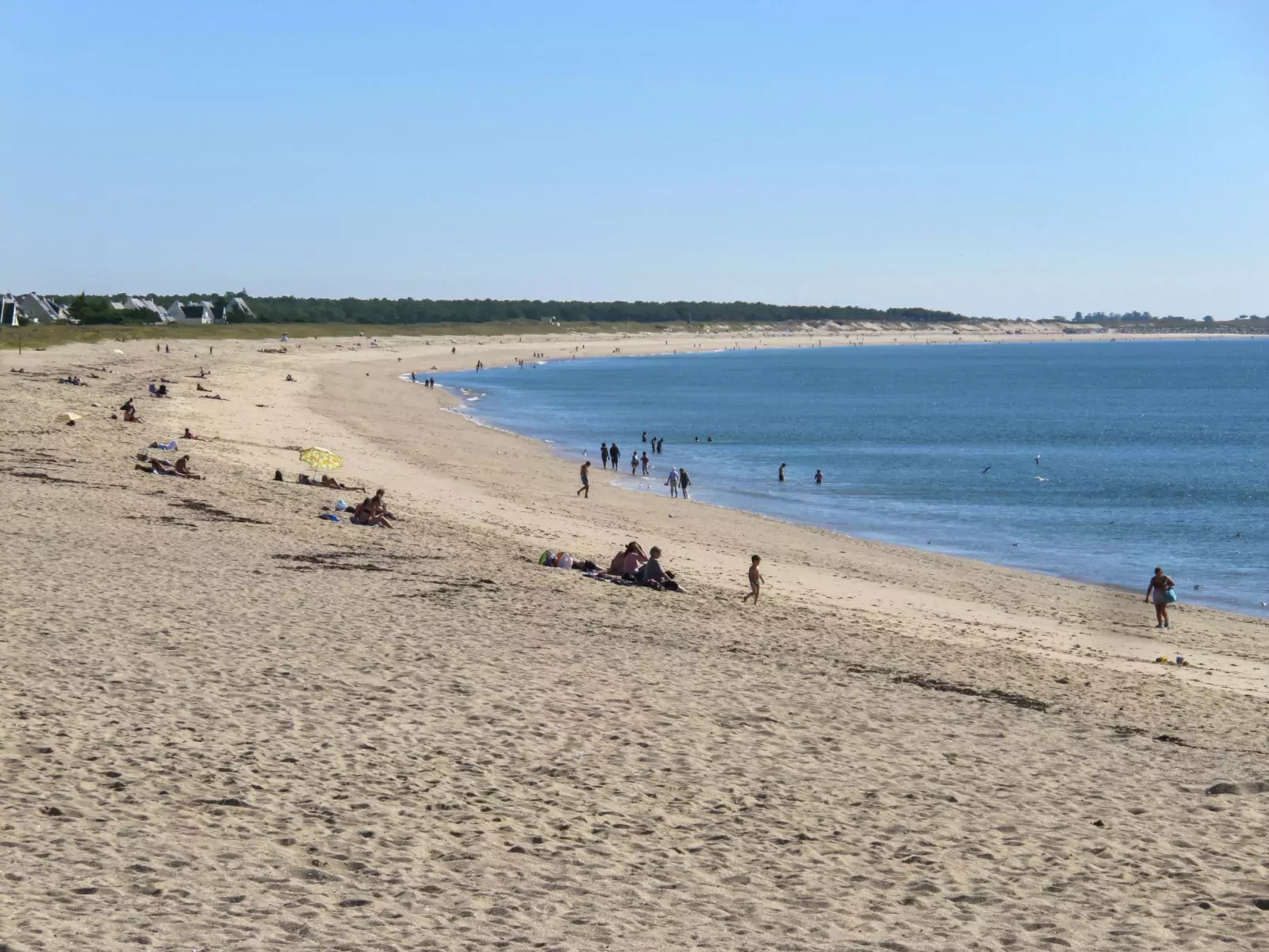 Plage, port et commerces à 2 pas-Omgeving
