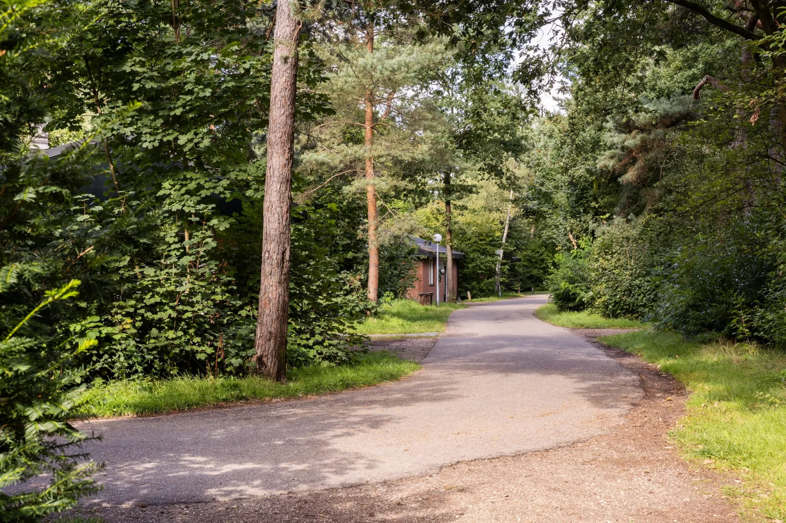 Parc Heihaas 8-Gebieden zomer 1km