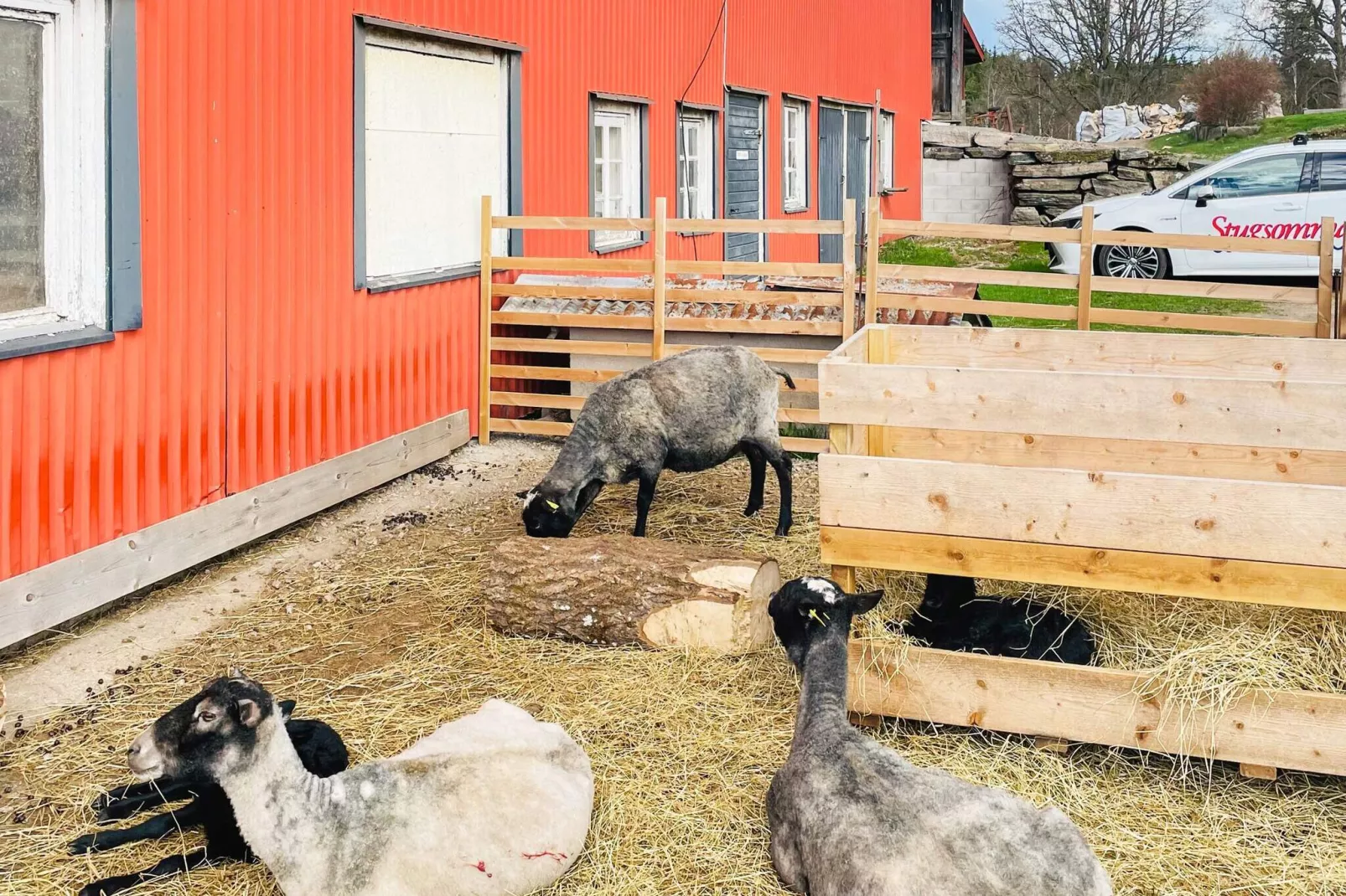 5 persoons vakantie huis in BREDARED-By Traum-Niet-getagd