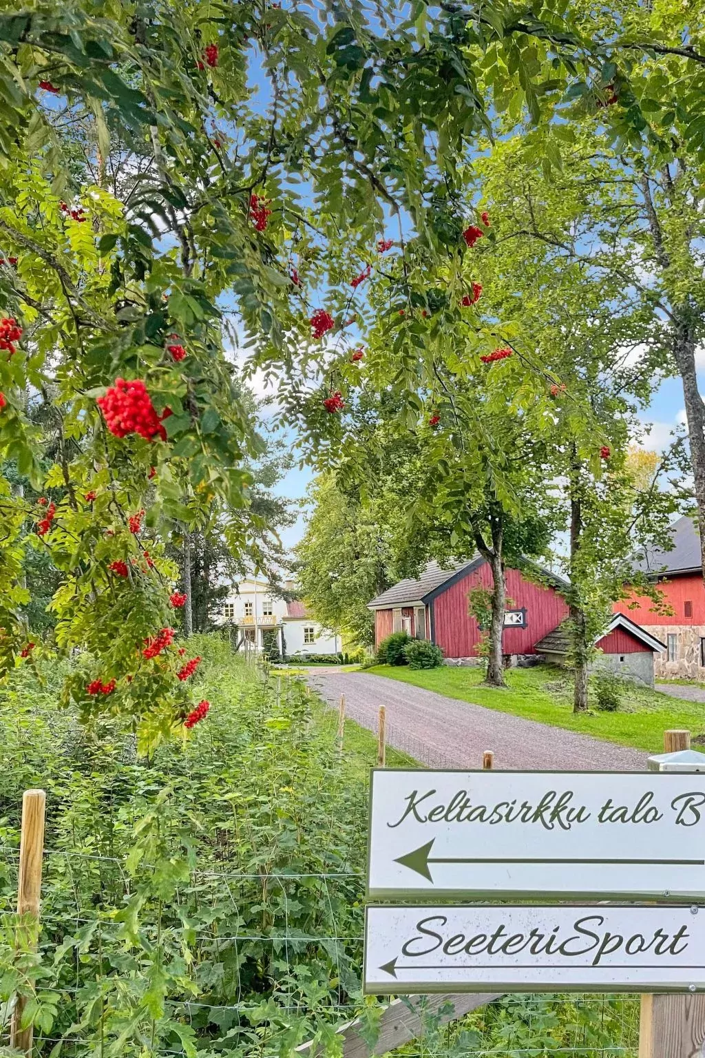 Punatulkku-Buiten