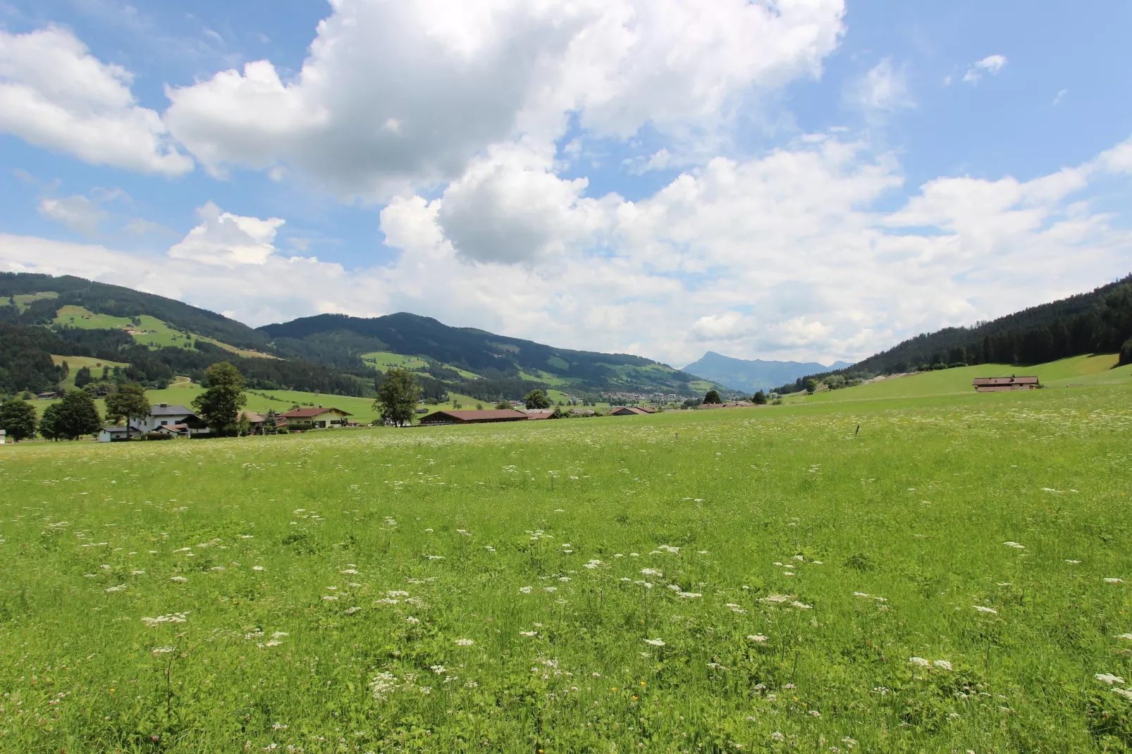 Mountain Retreat B-Gebieden zomer 1km