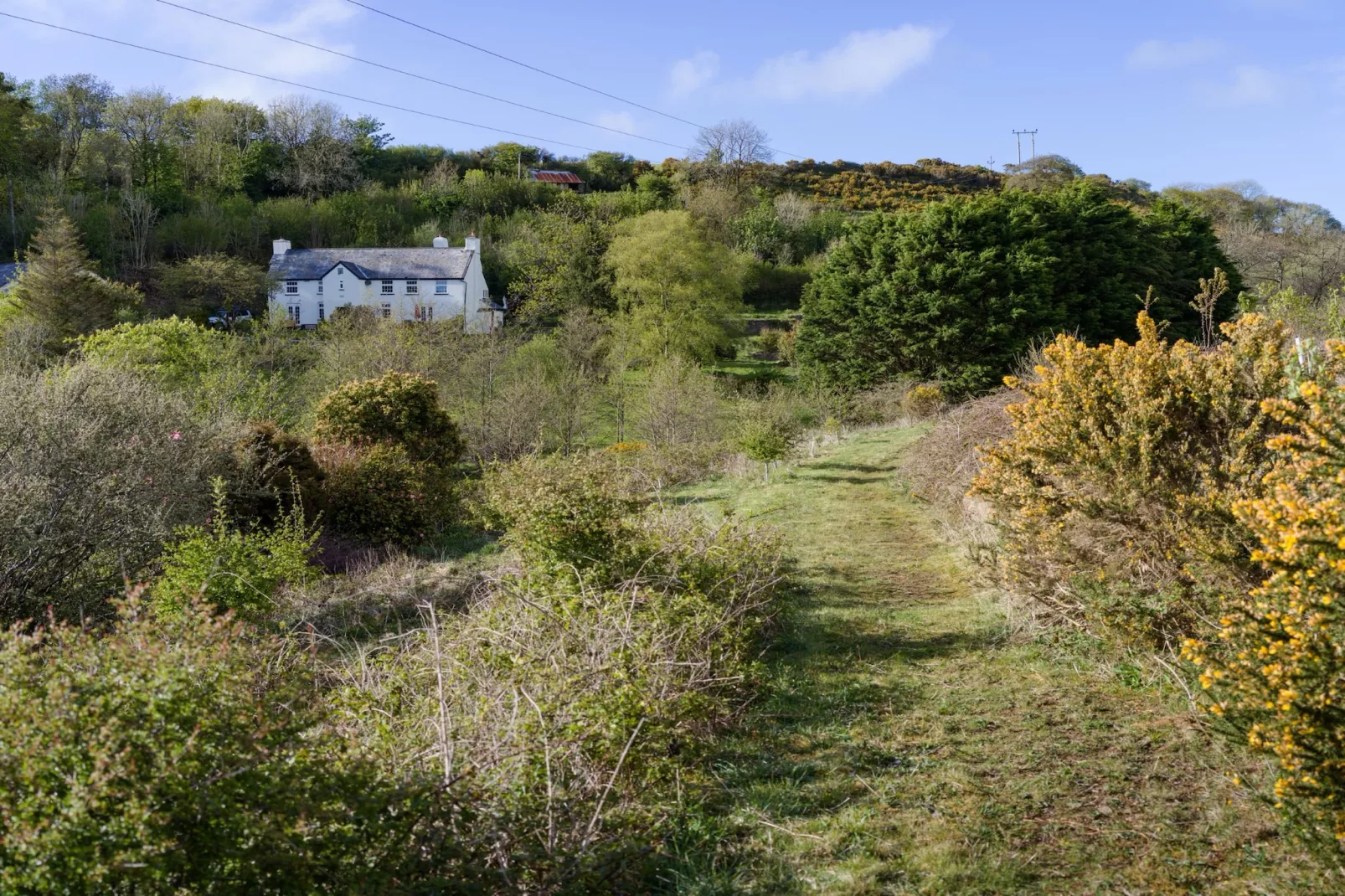 Lower Aylescott Farmhouse-Buitenlucht