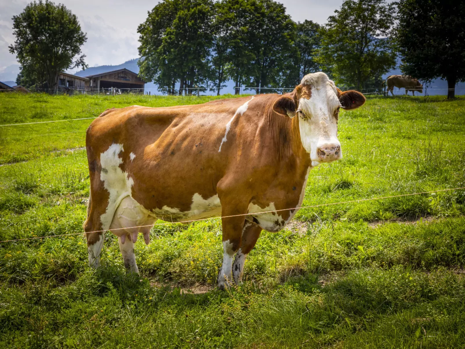 Hanserbauer-Buiten