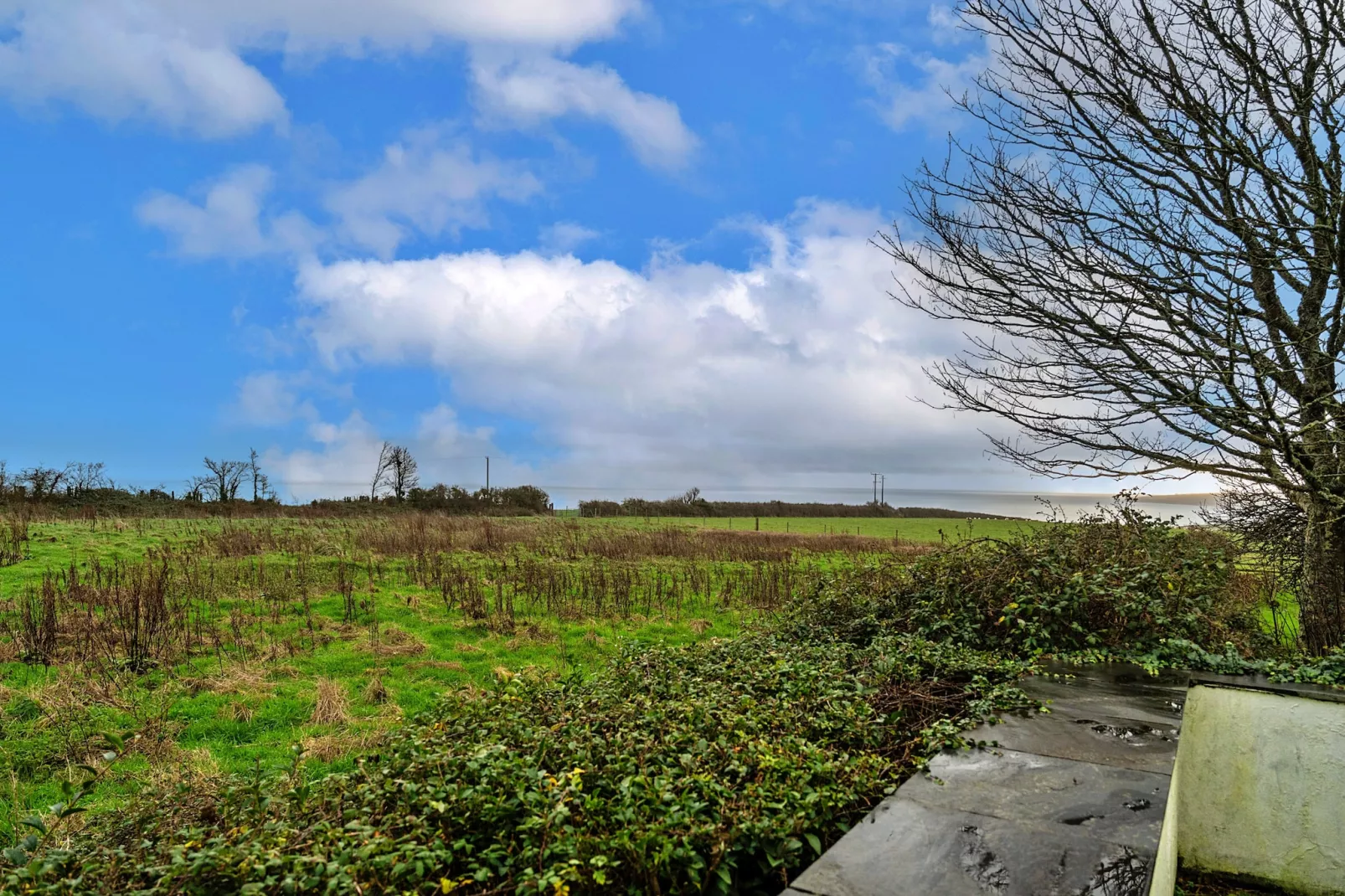 Dingles Cottage-Buitenlucht