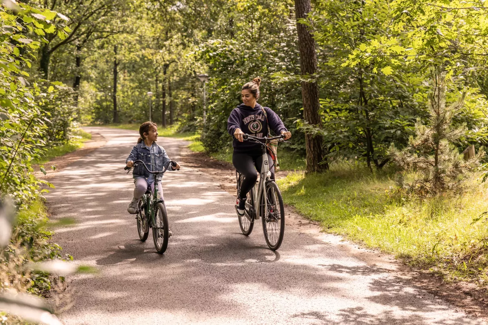 Parc Heihaas 3-Gebieden zomer 1km