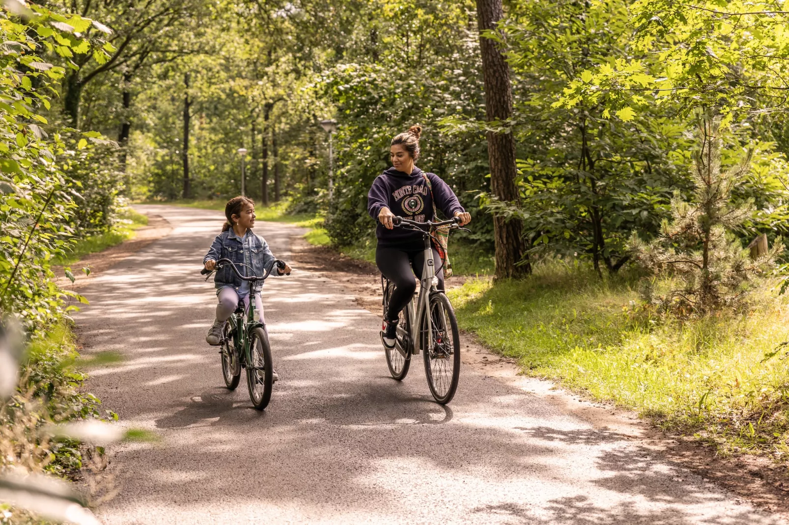 Parc Heihaas 8-Gebieden zomer 1km