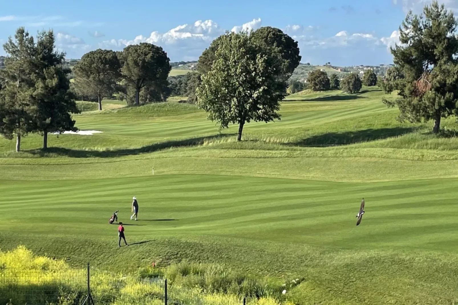 Quadrilocale vista giardino 217-Gebieden zomer 1km
