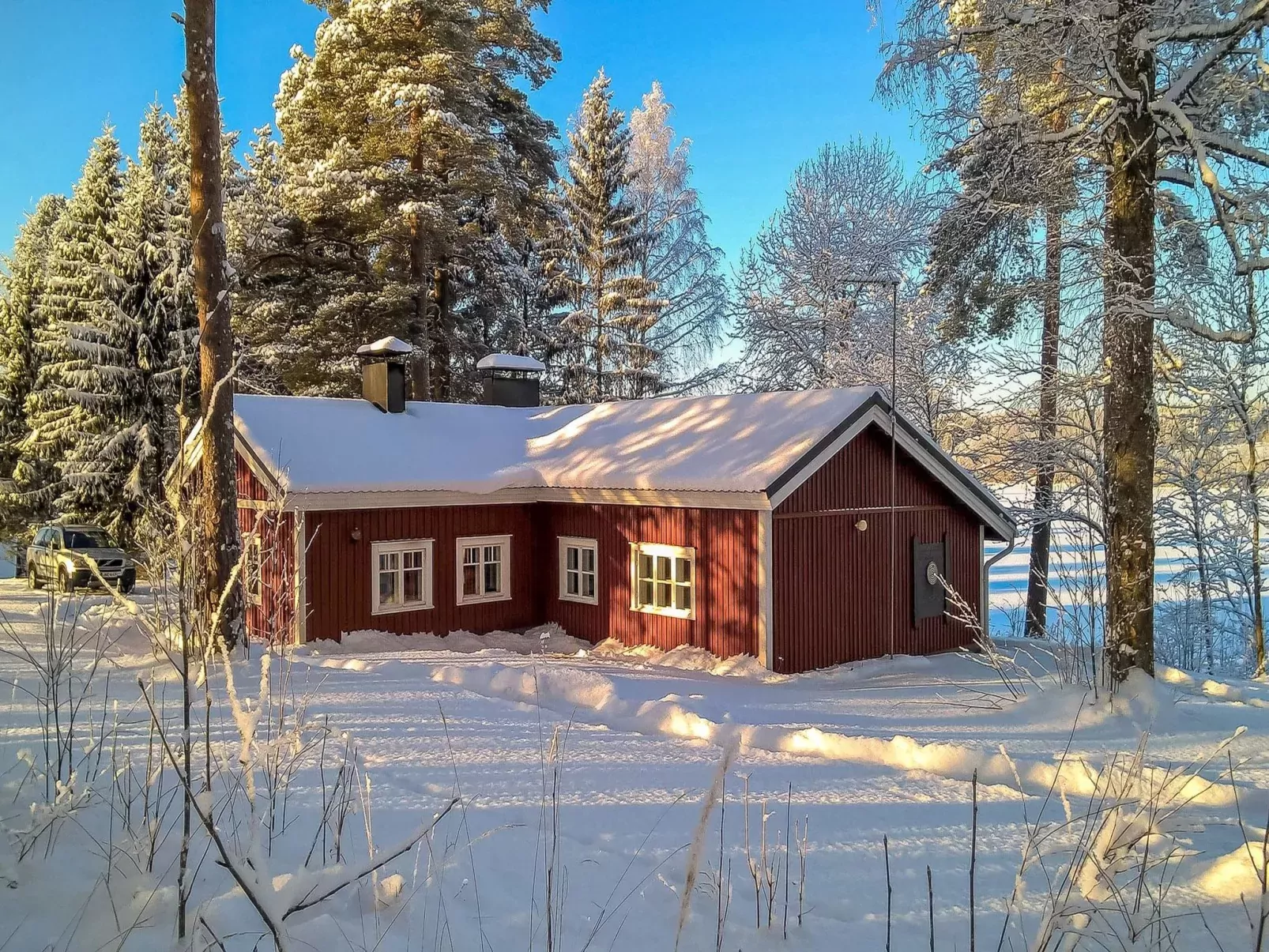 Punatulkku-Buiten