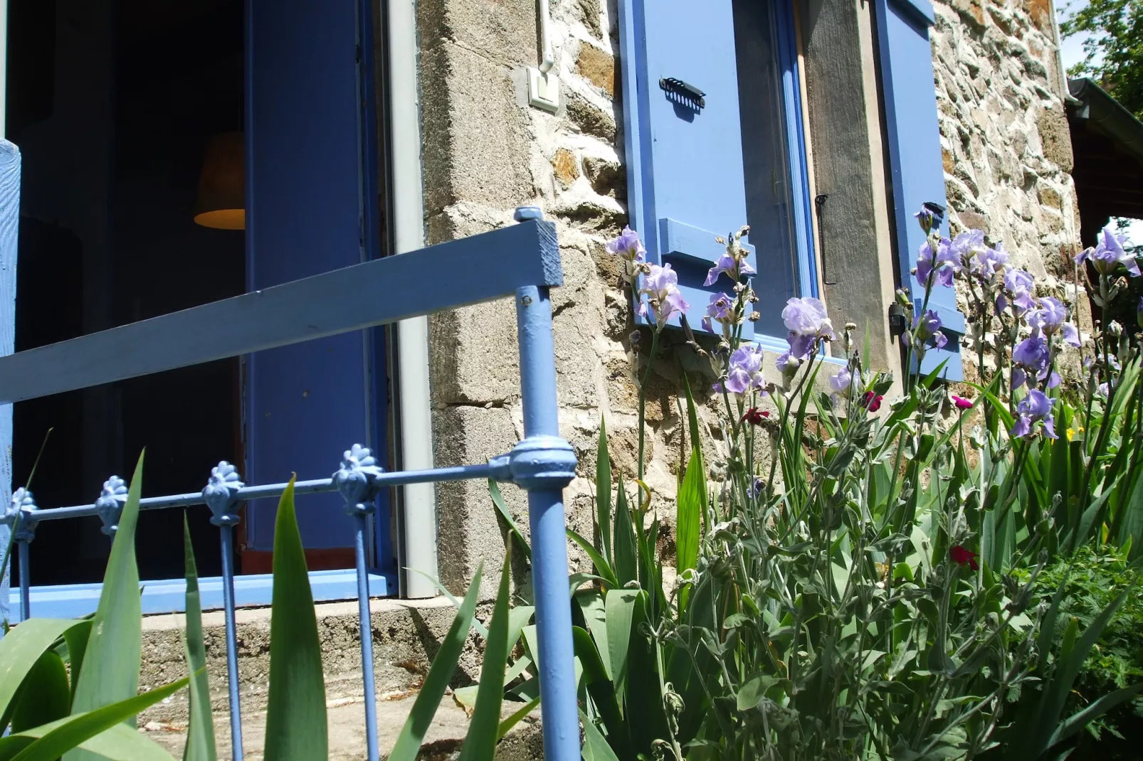 Le Dauphin bleu-Sfeer