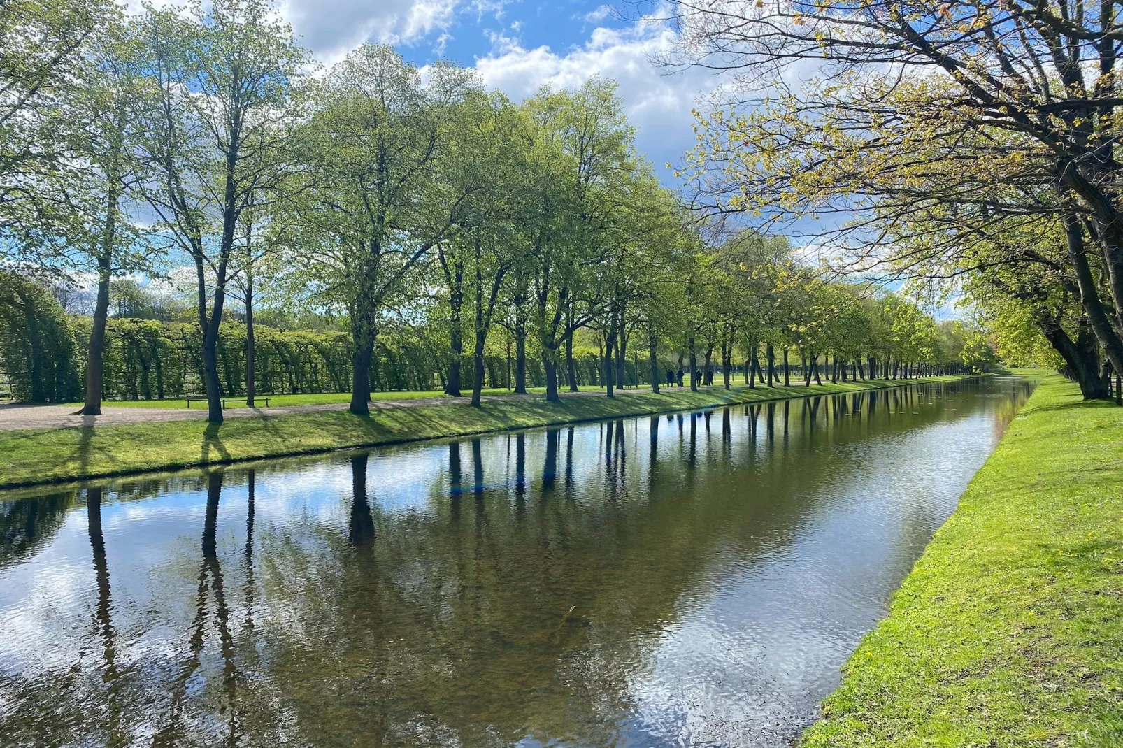 Residence Park am Schweriner See / 2-Raum-App im 2 Stock 60 qm-Gebieden zomer 5km