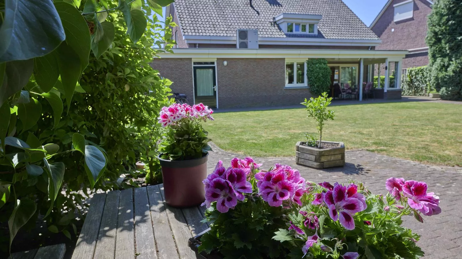 Lionshuis-Tuinen zomer