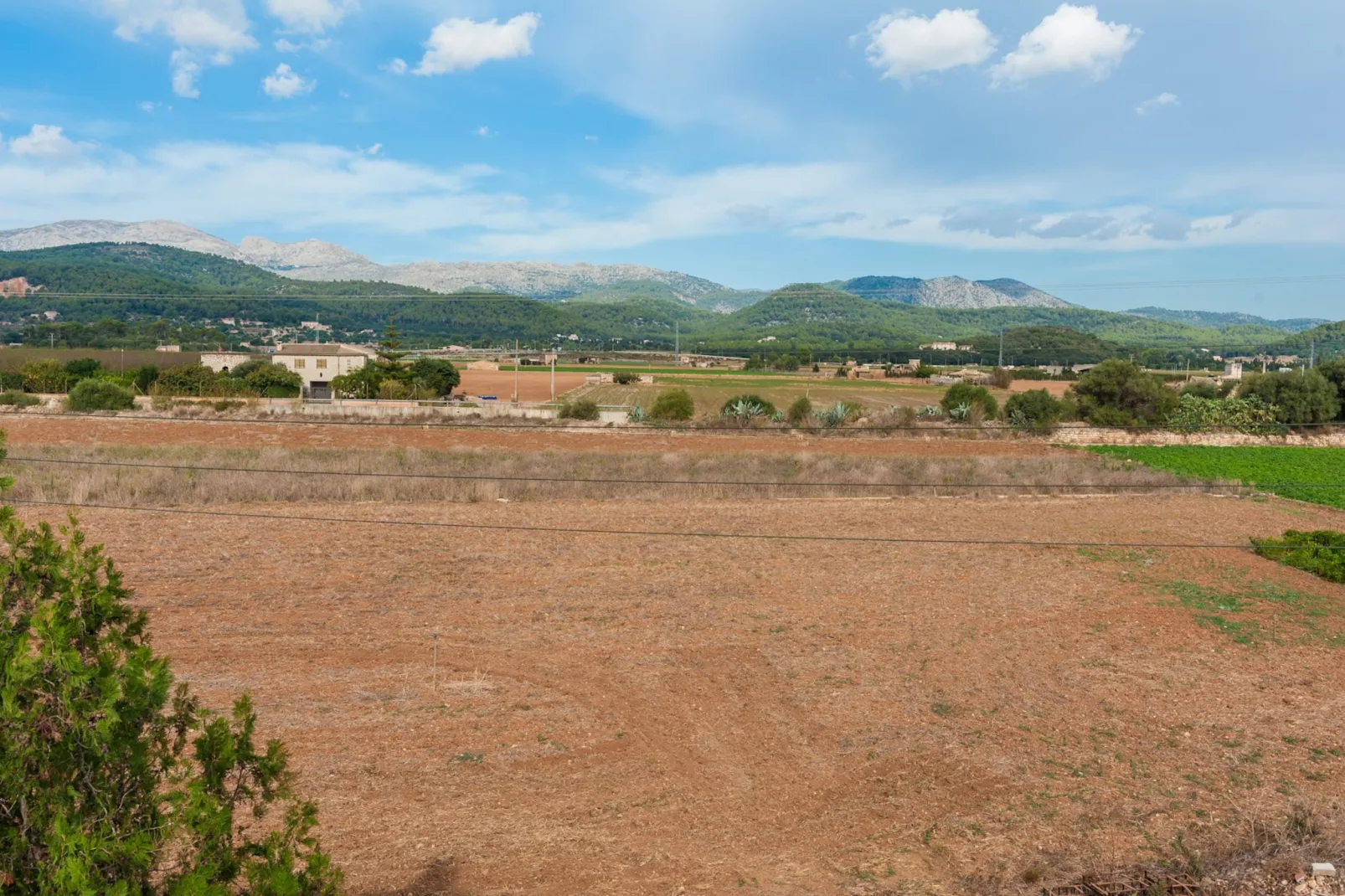 Son Sabater (es Moli Nou)-Image-tags.