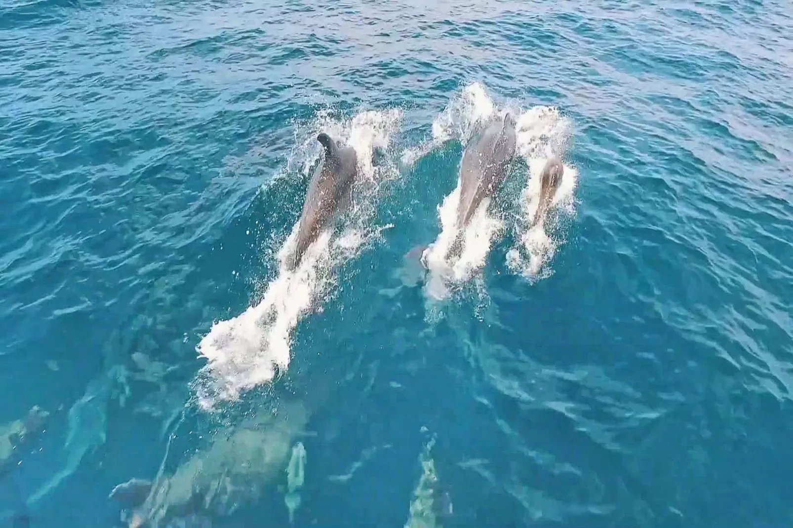 Villa Zanzibar-Gebieden zomer 5km