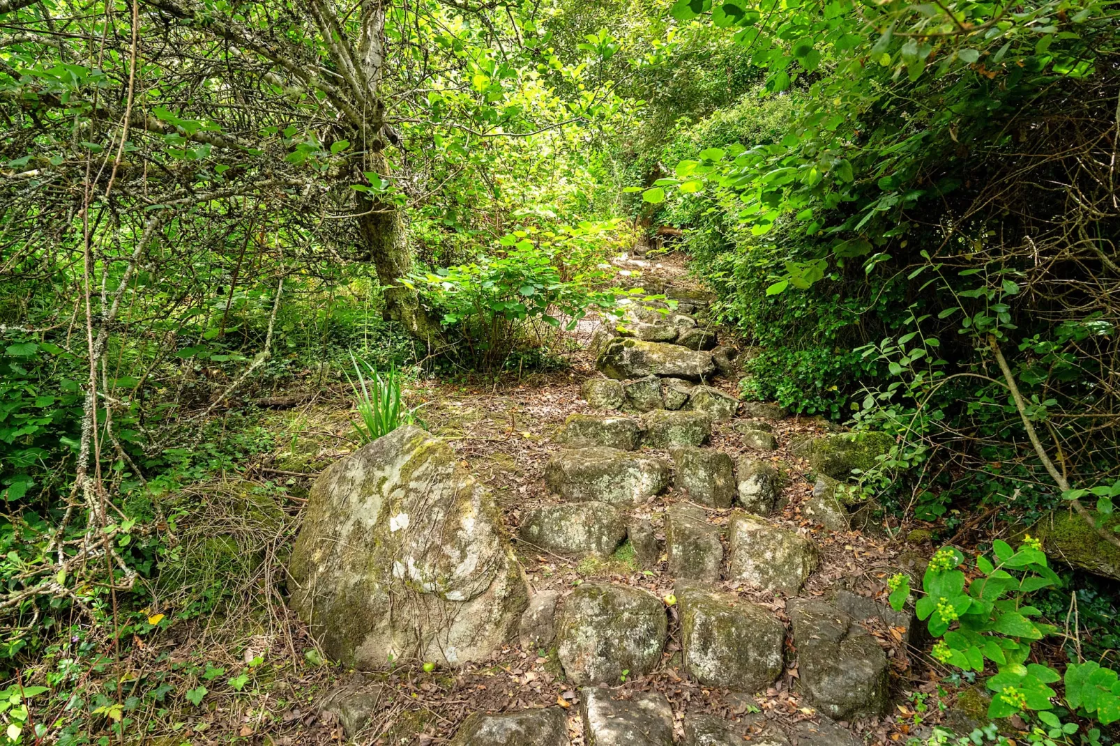 Tregatreath-Buitenlucht
