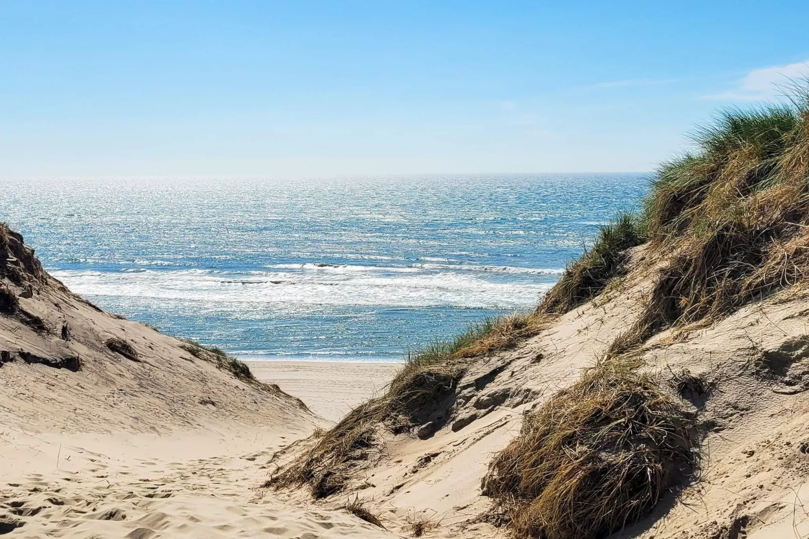 12 persoons vakantie huis in Ulfborg-Uitzicht
