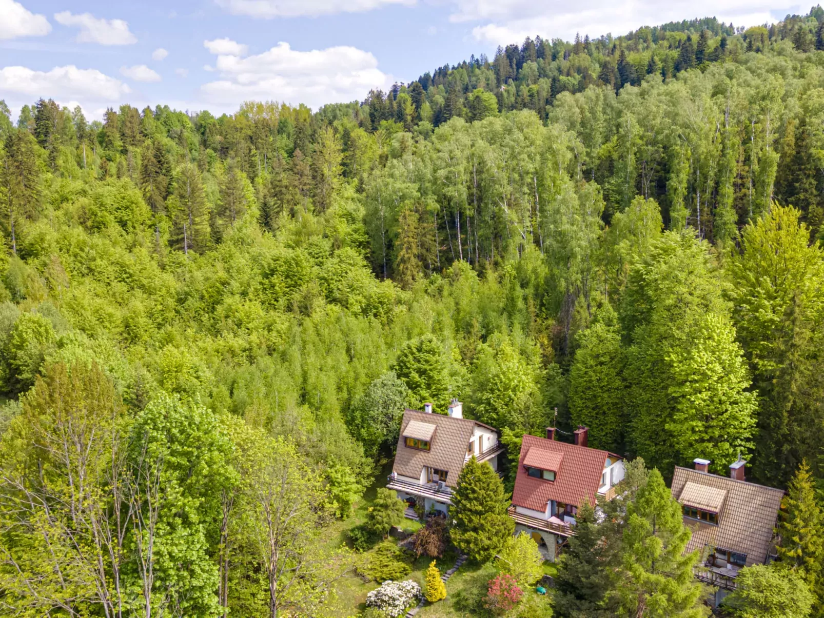 Partecznik-Buiten
