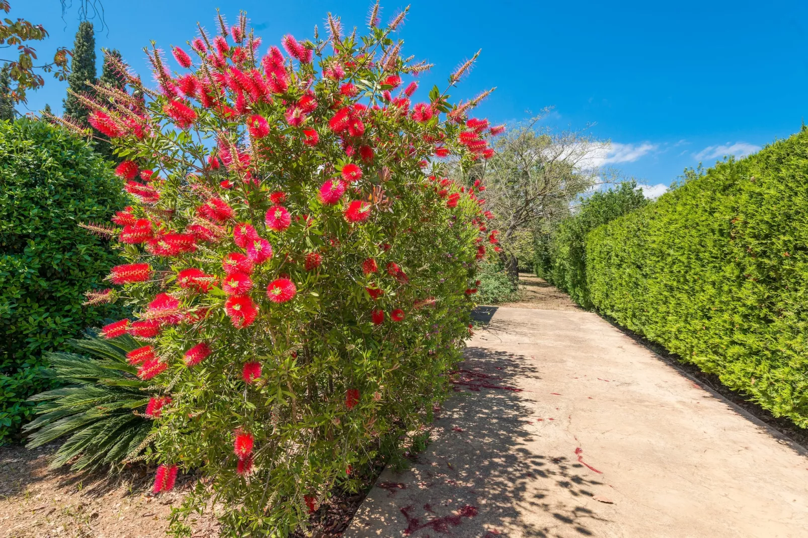 Ca Na Sioneta-Gebieden zomer 5km