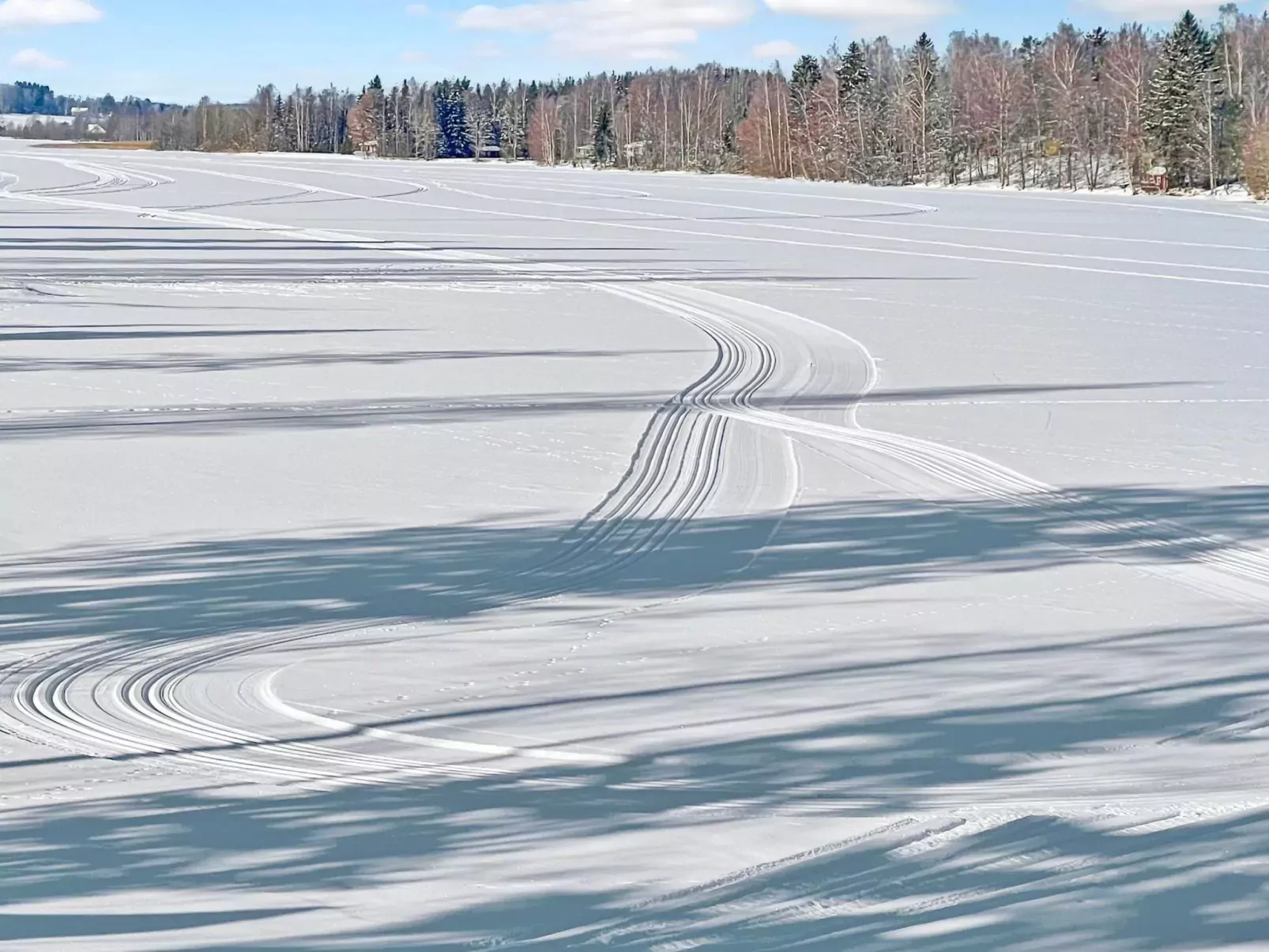 Punatulkku-Buiten