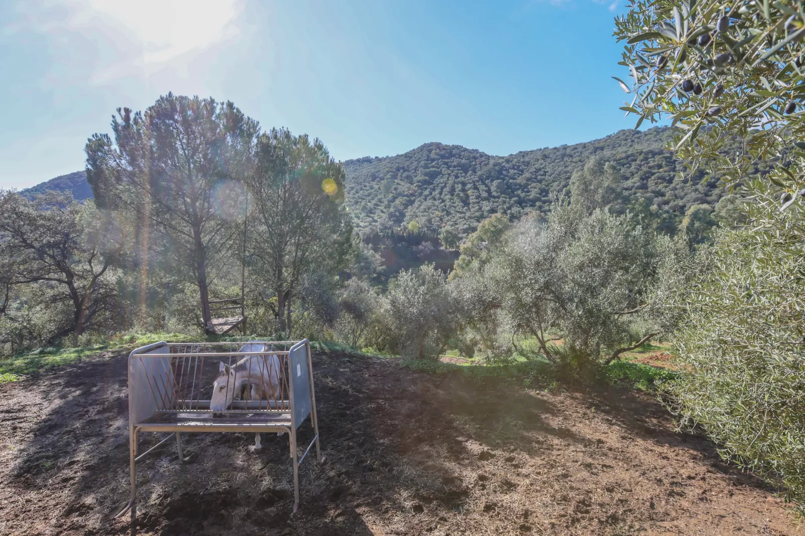 Casa Rural Los Menestrales-Gebieden zomer 5km
