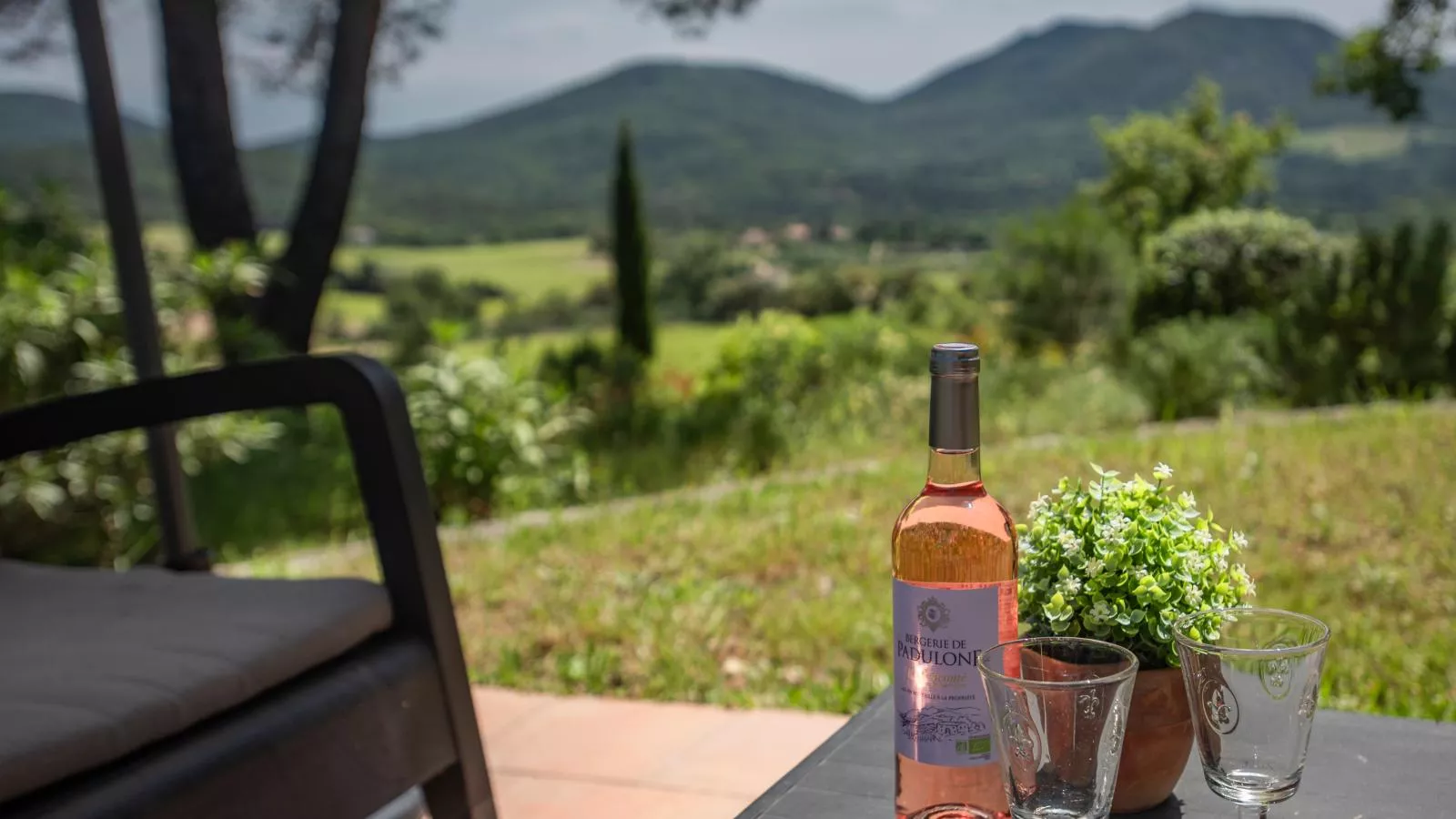 Entre les vignes-Tuinen zomer