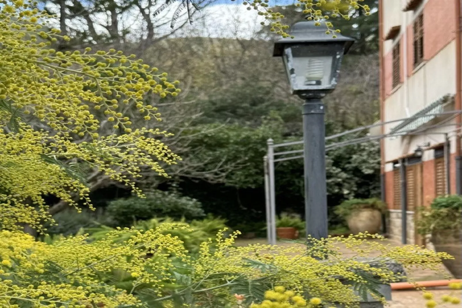 Villa Castelbuono-Tuinen zomer