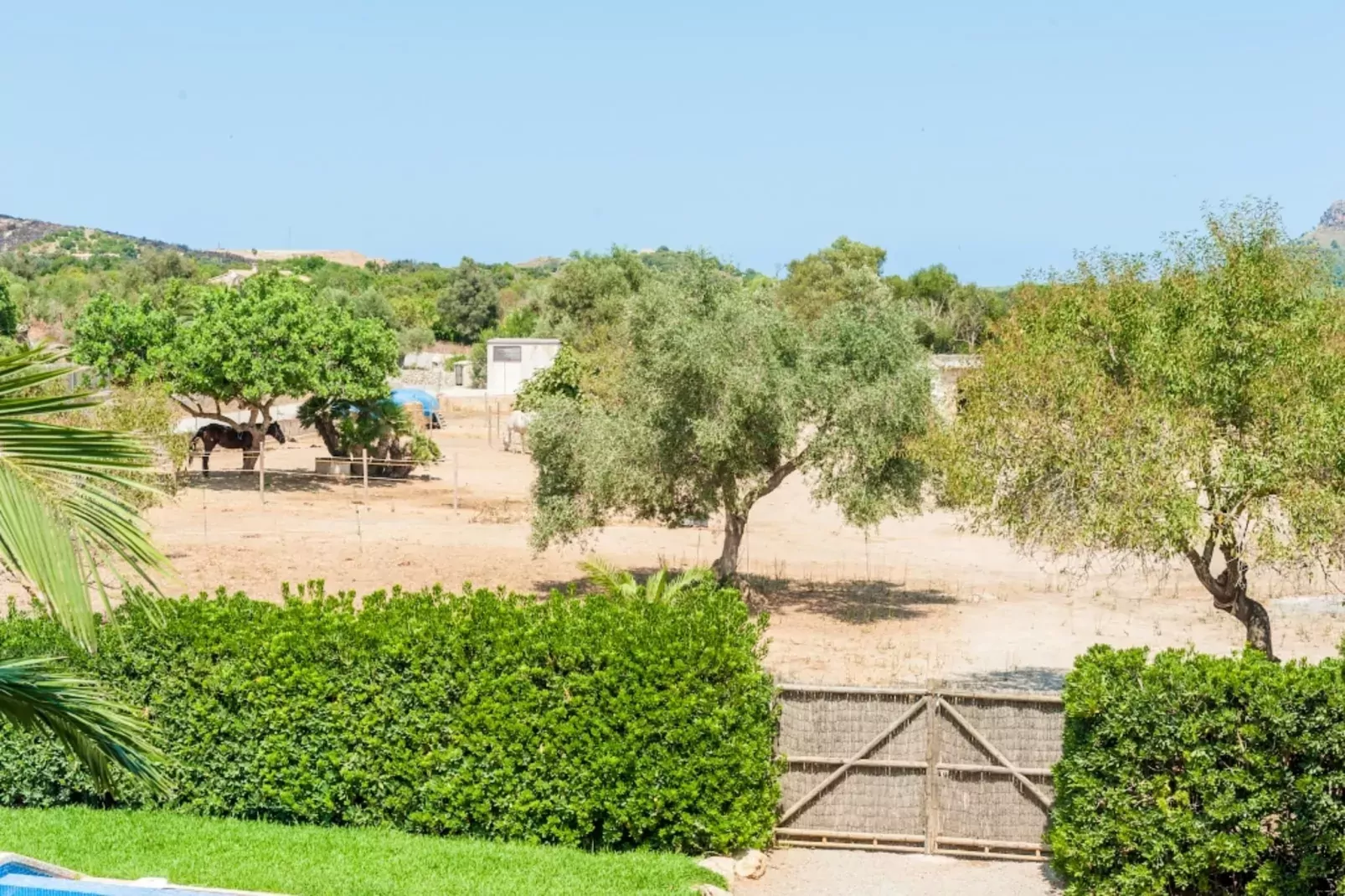 Casa Angela - Buitenkant zomer