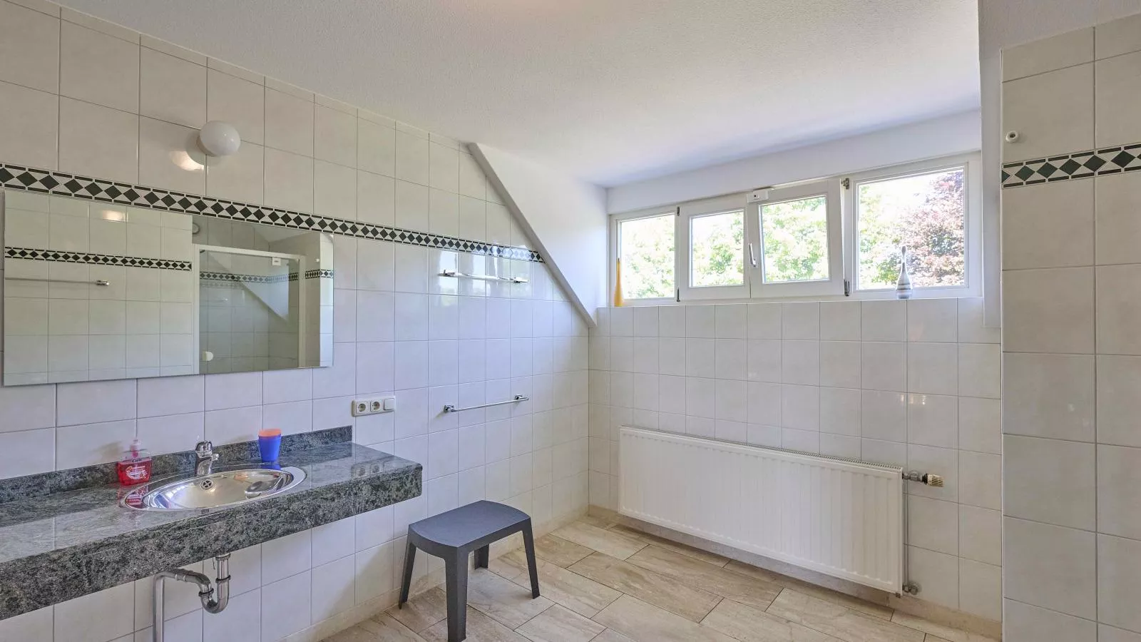 Lionshuis-Badkamer