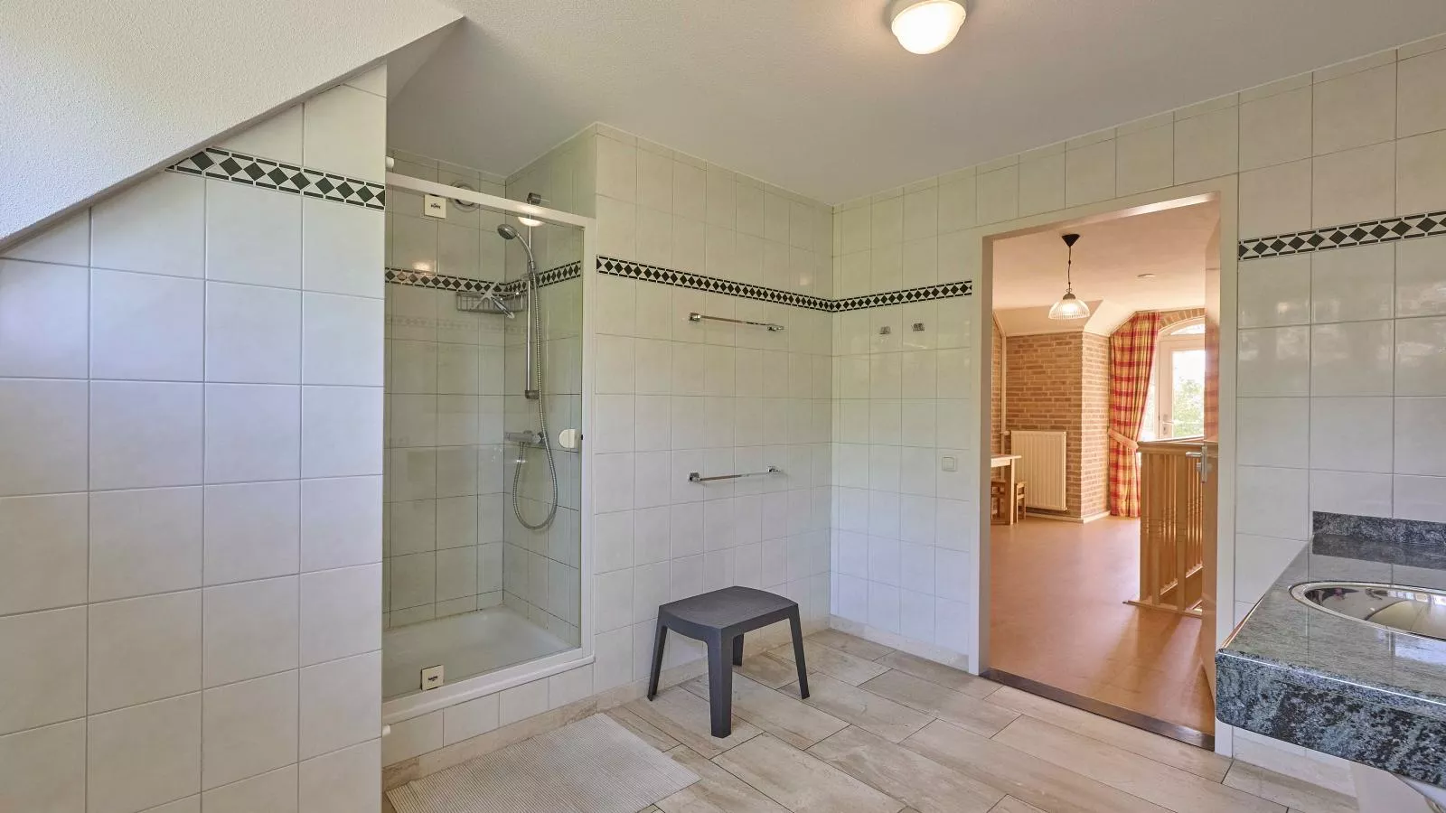 Lionshuis-Badkamer