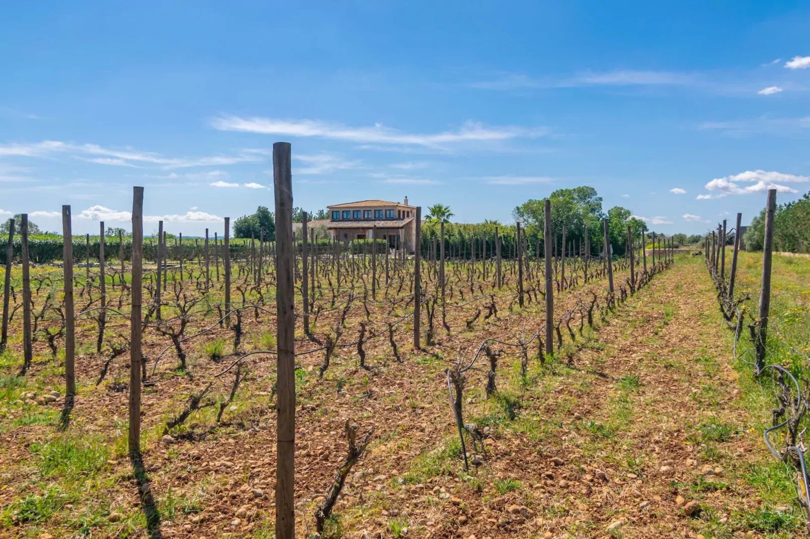 Finca Aria-Image-tags.