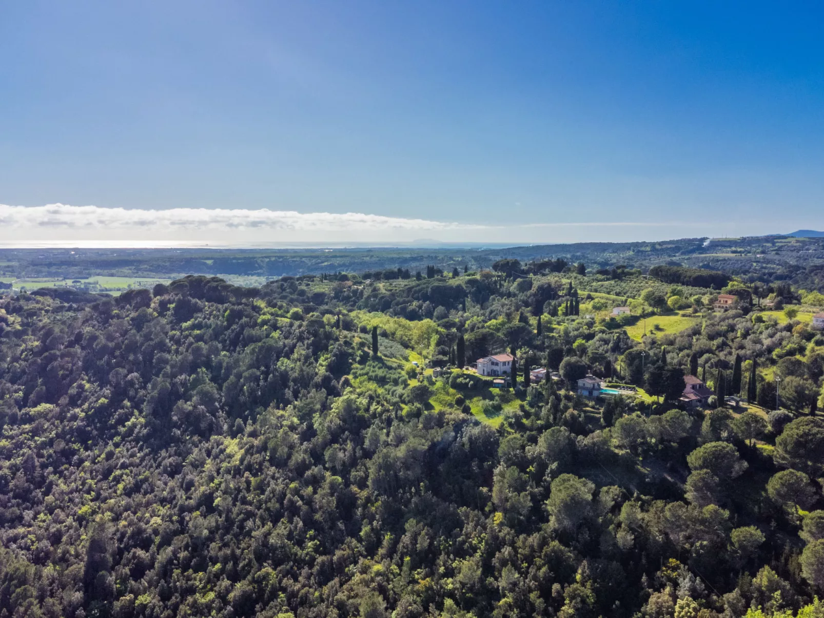 Lilia-Buiten