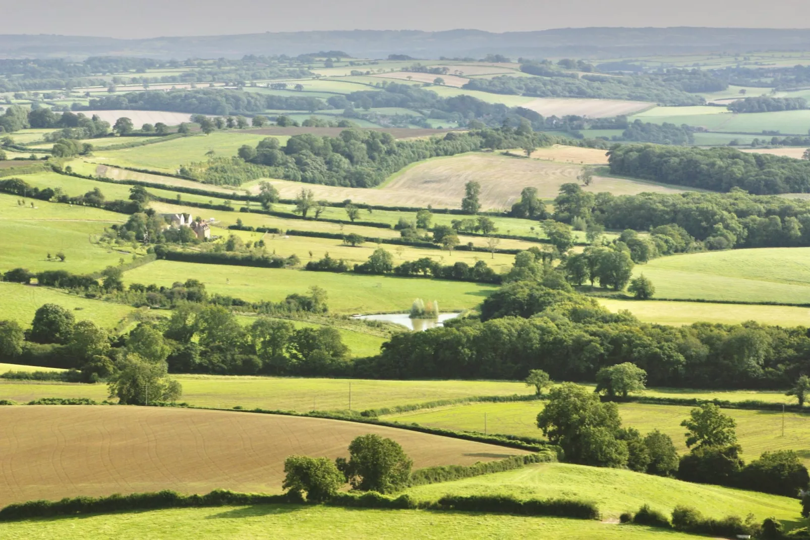 New Park Farm-Buitenlucht