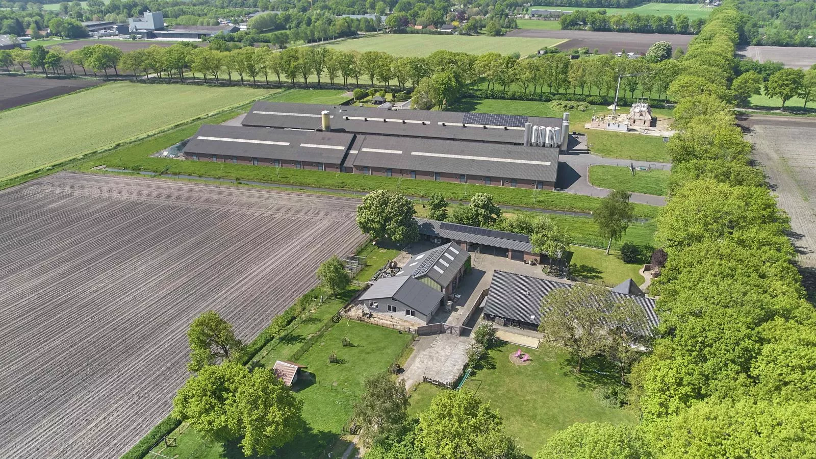 Bouwhoeve-Gebieden zomer 1km