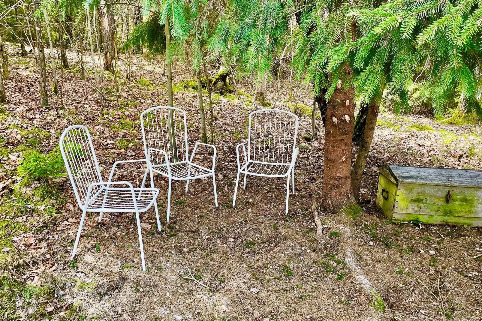 4 persoons vakantie huis in Backaryd-By Traum-Niet-getagd