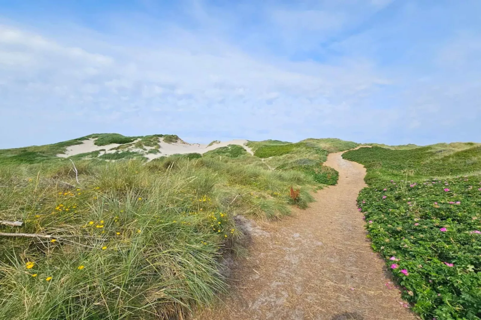 6 persoons vakantie huis in Hvide Sande