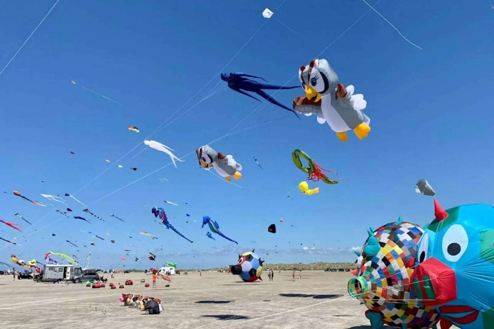 Kustcharme in Rindby-By Traum