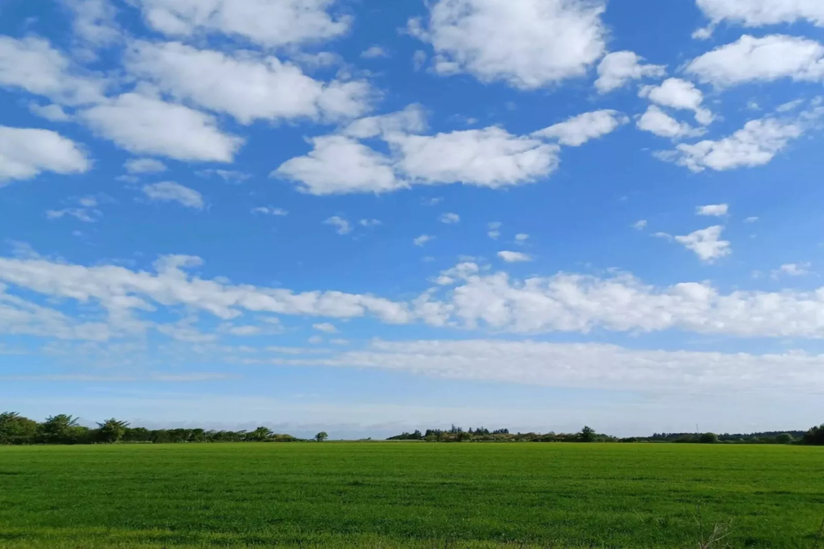 Rustiek toevluchtsoord bij Hemmet Strand-By Traum