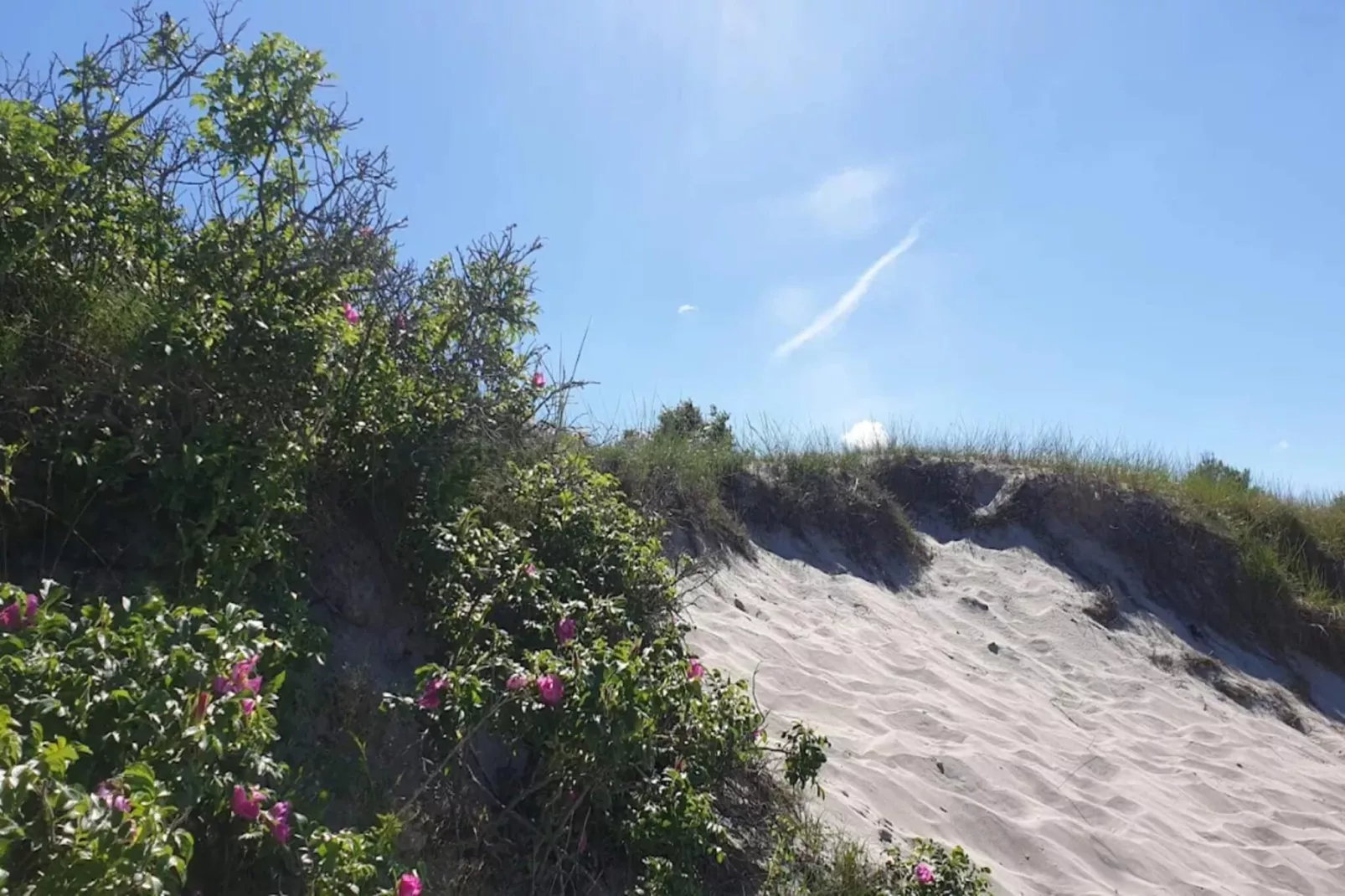 Kusttoevlucht in Dronningmolle-By Traum-Niet-getagd