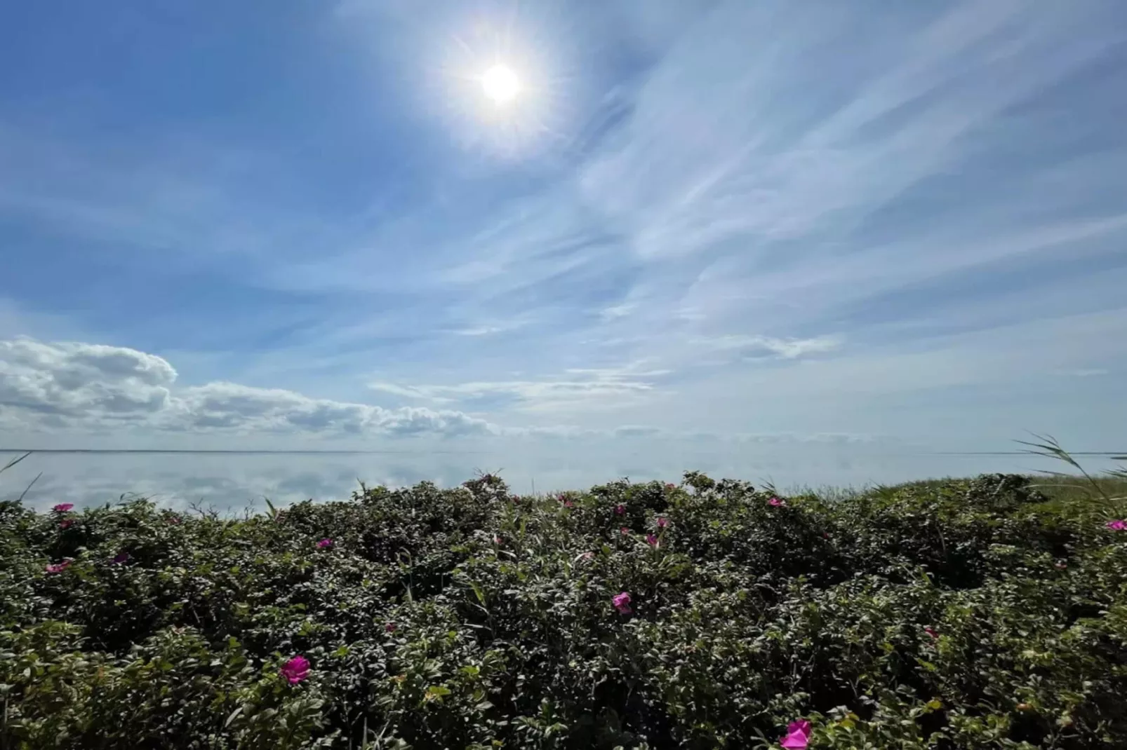 6 persoons vakantie huis in Ringkøbing-By Traum-Niet-getagd