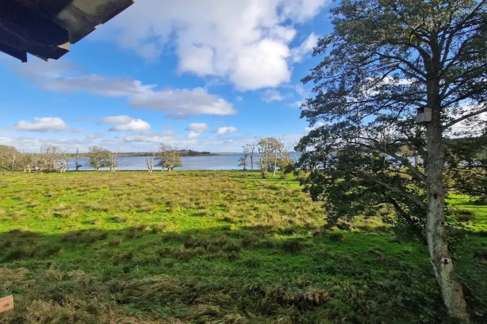 Vakantiehuis aan het meer met bos