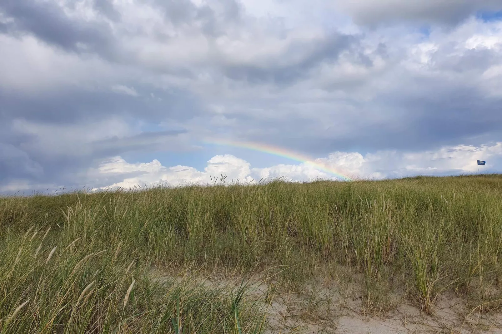 Afgelegen toevluchtsoord in Blavand -- By Traum Ferienwohnungen