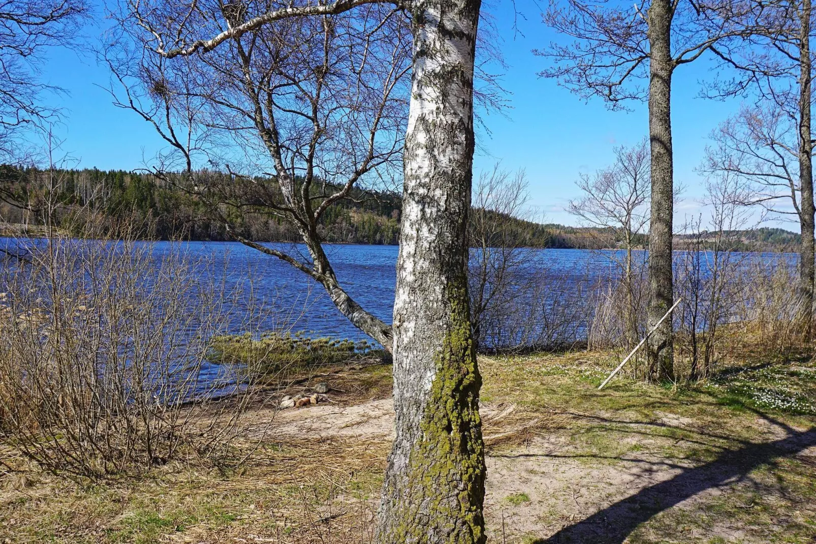 9 persoons vakantie huis in HÄLLEVADSHOLM-By Traum-Niet-getagd