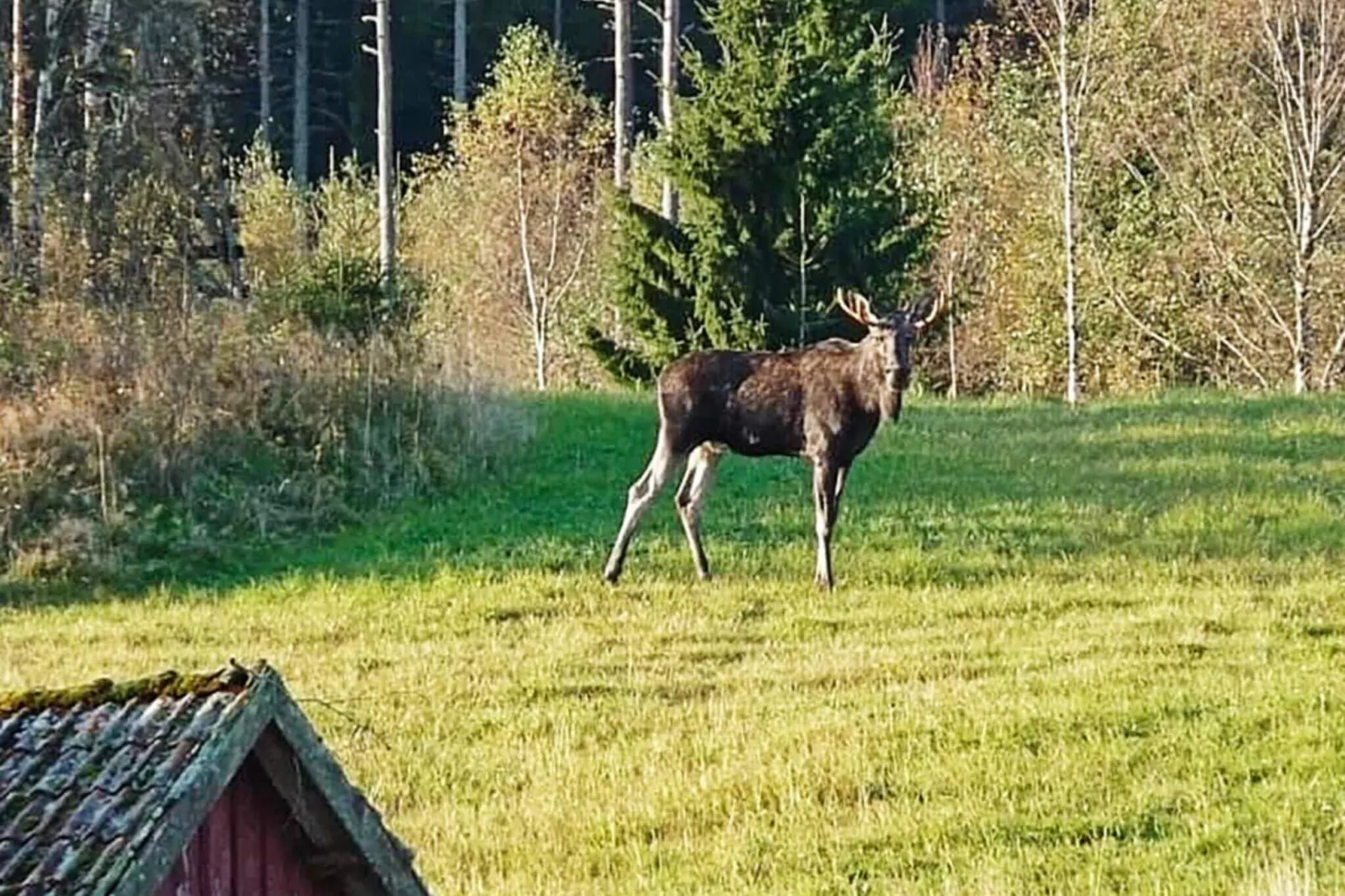 9 persoons vakantie huis in HÄLLEVADSHOLM-By Traum-Niet-getagd
