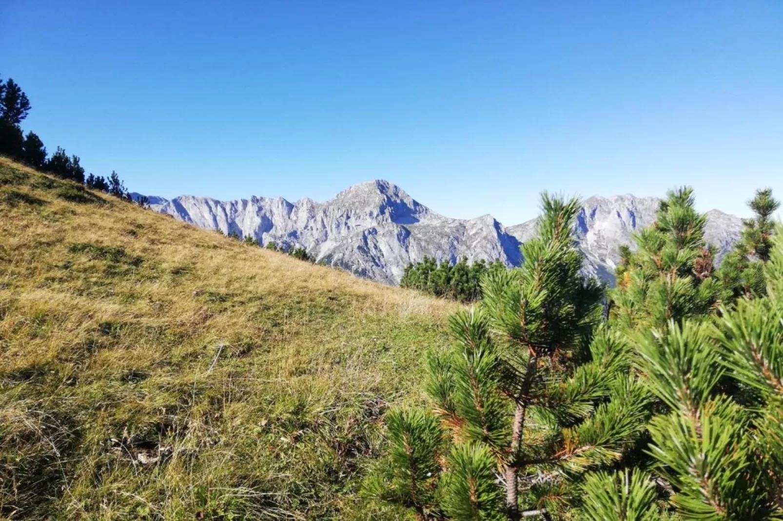Haus Höring-Gebieden zomer 20km